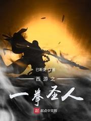 西遊之一拳聖人 西遊之一拳聖人