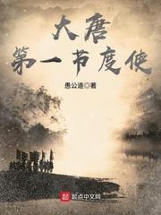 大唐第一節度使 大唐第一節度使