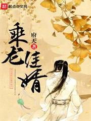 乘龍佳婿 乘龍佳婿