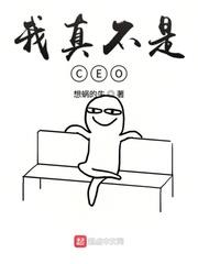 我真不是CEO 我真不是CEO