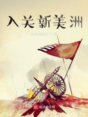 入關新美洲 入關新美洲