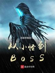 從小怪到BOSS 從小怪到BOSS