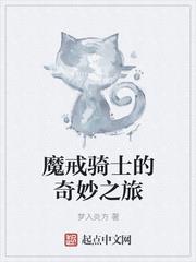 魔戒騎士的奇妙之旅 魔戒騎士的奇妙之旅