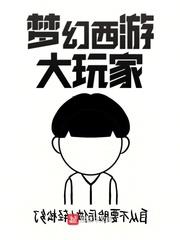 夢幻西遊大玩家 夢幻西遊大玩家