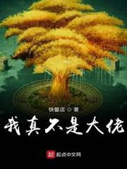 我真不是大佬 我真不是大佬