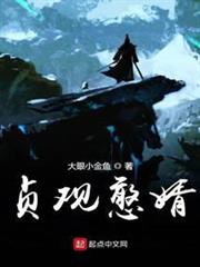 貞觀憨婿 貞觀憨婿