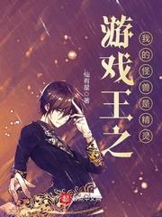 遊戲王之我的怪獸是精靈 遊戲王之我的怪獸是精靈