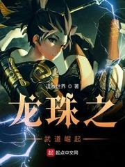 龍珠之武道崛起 龍珠之武道崛起