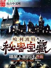 哈利波特與秘密寶藏 哈利波特與秘密寶藏