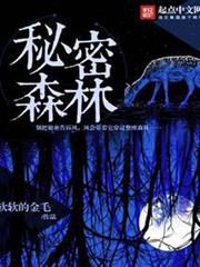 秘密的森林 秘密的森林