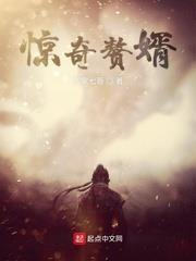 驚奇贅婿 驚奇贅婿