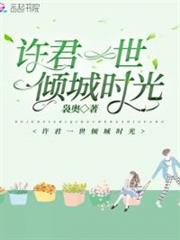許君一世傾城時光