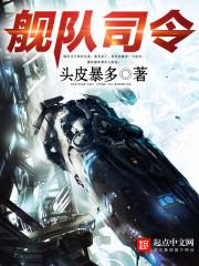 艦隊司令 艦隊司令