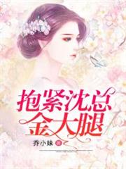 抱緊沈總金大腿 抱緊沈總金大腿