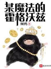 某魔法的霍格沃茨 某魔法的霍格沃茨