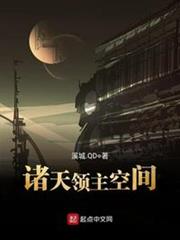 諸天領主空間 諸天領主空間