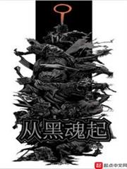 從黑魂起 從黑魂起