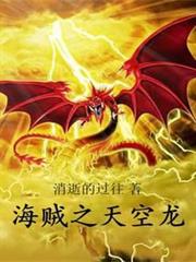 海賊之天空龍 海賊之天空龍