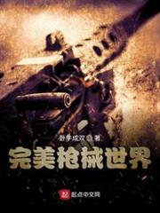 完美槍械世界