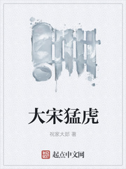 大宋猛虎 大宋猛虎