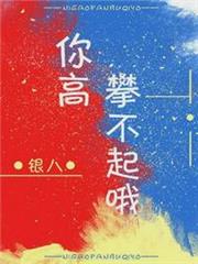 你高攀不起 你高攀不起