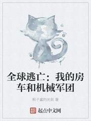 全球逃亡:我的房車和機械軍團 全球逃亡:我的房車和機械軍團