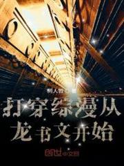 打穿綜漫從龍書文開始 打穿綜漫從龍書文開始