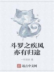 斗羅之疾風亦有歸途 斗羅之疾風亦有歸途