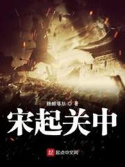 宋起關中 宋起關中