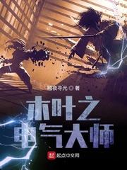 木葉之風暴之主 木葉之風暴之主