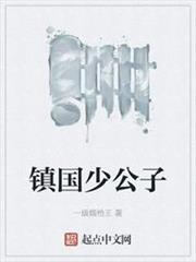 鎮國少公子 鎮國少公子