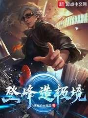 登峰造極境 登峰造極境