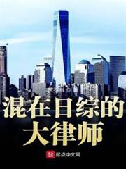 混在日綜的大律師 混在日綜的大律師