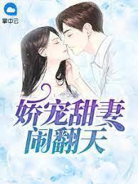 嬌寵甜妻鬧翻天 嬌寵甜妻鬧翻天