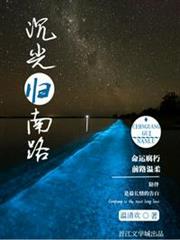沉光歸南路 沉光歸南路