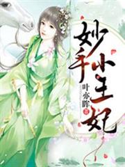 妙手小王妃 妙手小王妃