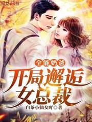 全能奶爸:開局邂逅女總裁 全能奶爸:開局邂逅女總裁