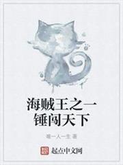 海賊王之一錘闖天下