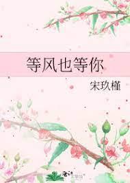 等風也等你