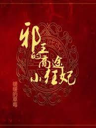邪王的商途小狂妃 邪王的商途小狂妃