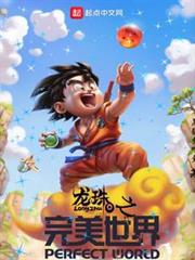 龍珠之完美世界 龍珠之完美世界
