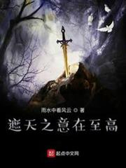 遮天之意在至高 遮天之意在至高
