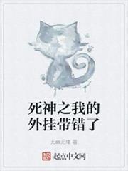 死神之我的外掛帶錯了