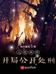人在木葉:開局公開處刑 人在木葉:開局公開處刑