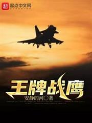 王牌戰鷹 王牌戰鷹