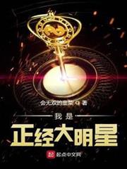 我是正經大明星 我是正經大明星