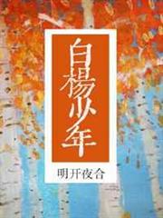 白楊少年 白楊少年