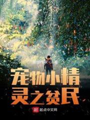 寵物小精靈之貧民 寵物小精靈之貧民