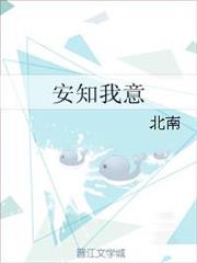 安知我意 安知我意