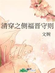 清穿之側福晉守則 清穿之側福晉守則